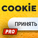 Уведомление об использовании cookies (политика куки) PRO