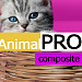 Товары для животных. Корма.(AnimalPRO). Профессиональный интернет магазин (рус. + англ.)