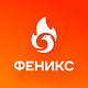 ФЕНИКС — безлимитный конструктор интернет-магазинов с возможностью создавать нешаблонные лендинги