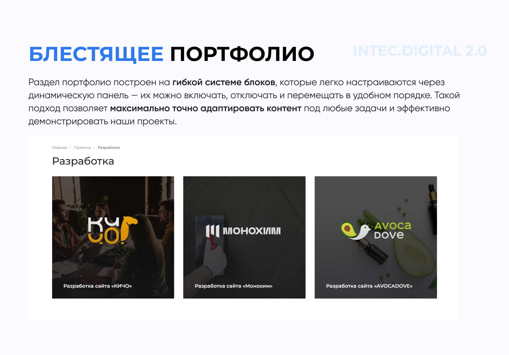 INTEC.Digital 2.0 - НОВЫЙ готовый сайт для веб-студий, интернет-агентств и digital-компаний_6