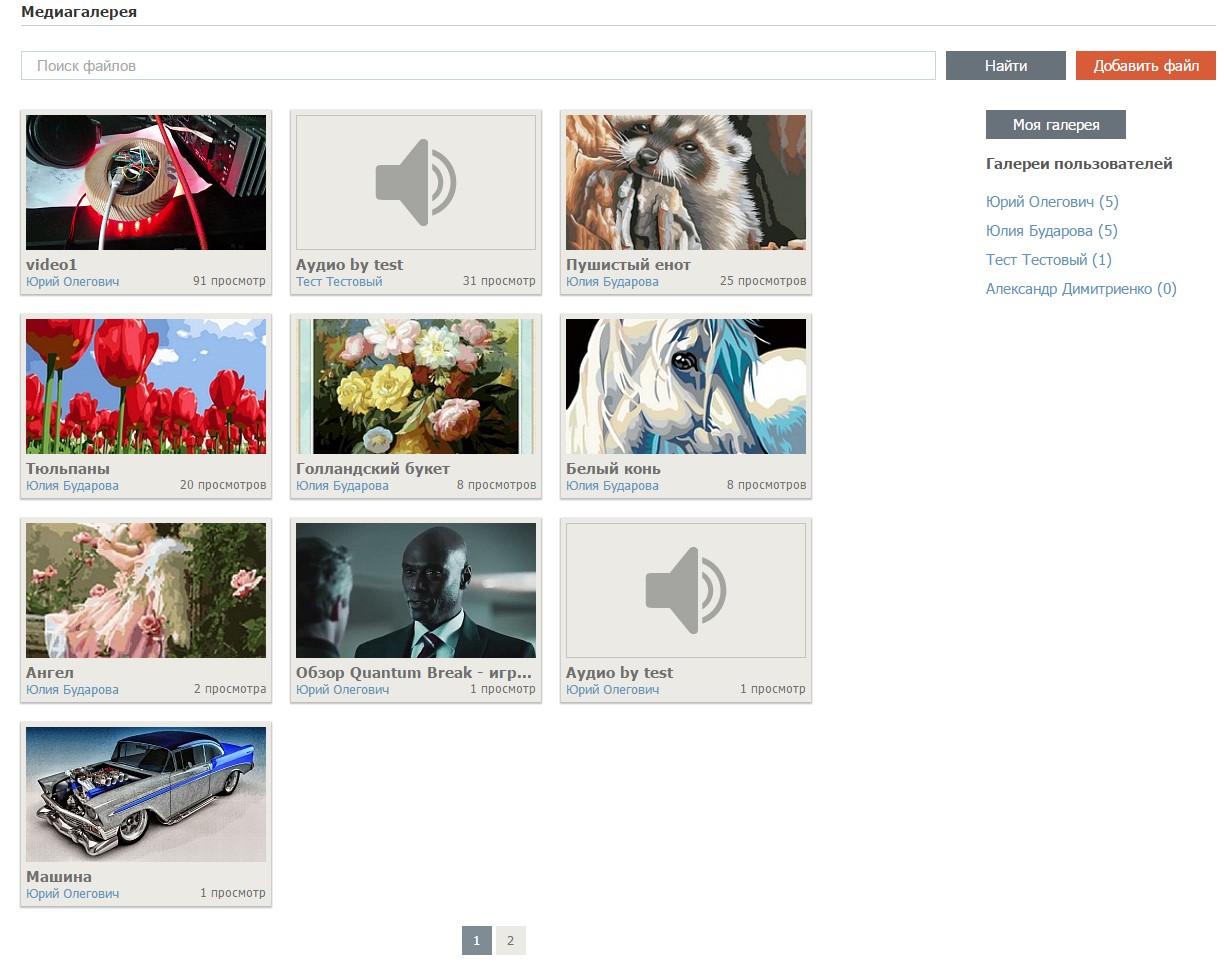 Пользовательская медиагалерея 